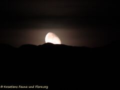 25.10.2021 - Mondaufgang über dem Velebit, Izlazak mjeseca nad Velebitom