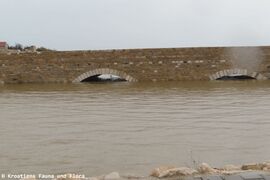 Die obere Brücke fast überschwemmt