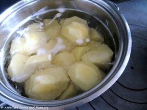 Kartoffel Wasser 180317 11204 k.jpg