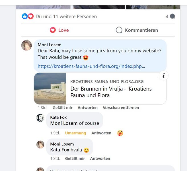 Datei:240511 Brunnen Zaton Kata Fox 0 Erlaubnis.jpg