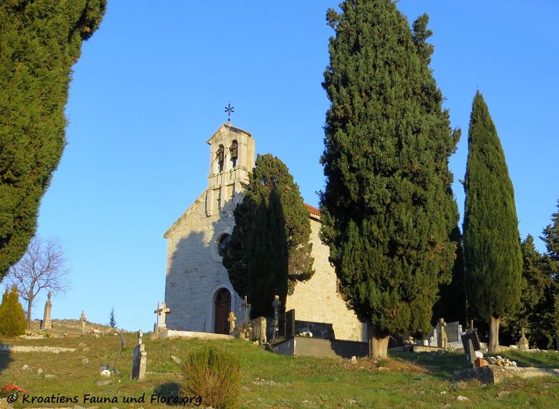 Datei:Crkva Sv. Simeona Monaha 170101 9626.jpg