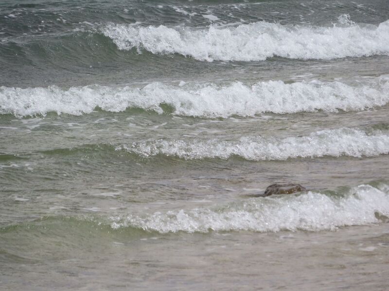 Datei:260413 8246.JPG