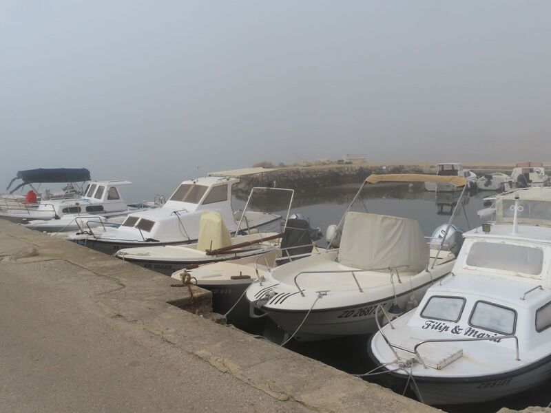 Datei:260227 7657.JPG