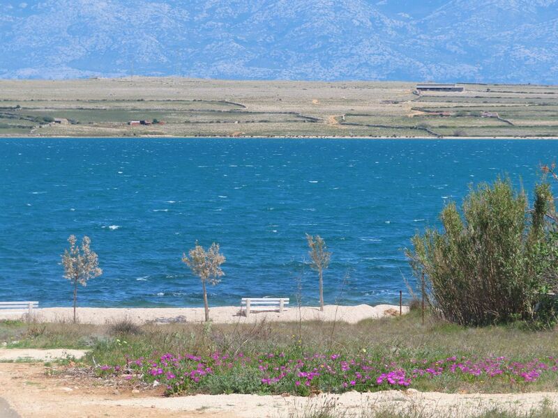 Datei:7 2604221 8540.JPG