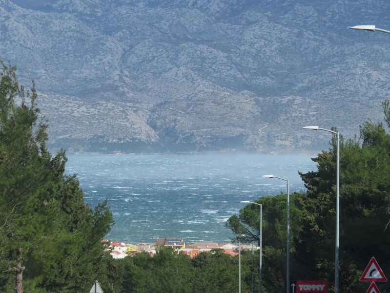 Datei:260215 7429.JPG