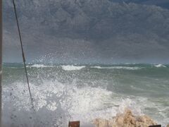 260215 7435.JPG
