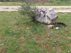 Unglaubliche Natur