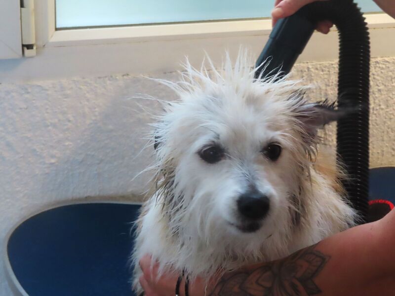 Datei:260211 7409 K.JPG