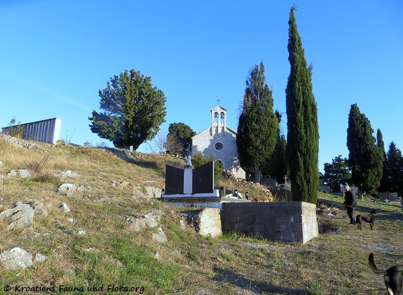 Datei:Serb Friedhof 170101 9610.jpg