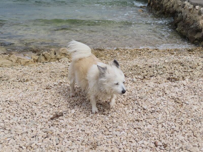 Datei:260413 8245.JPG