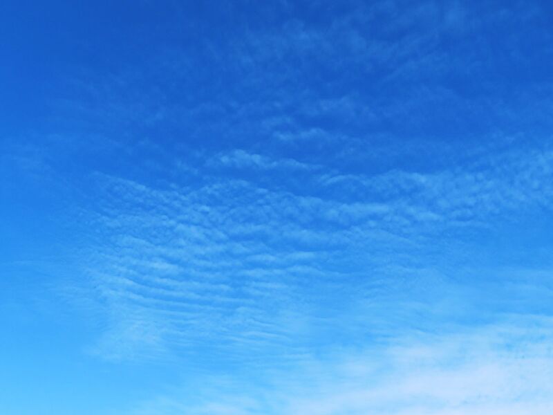 Datei:260411 8178.JPG