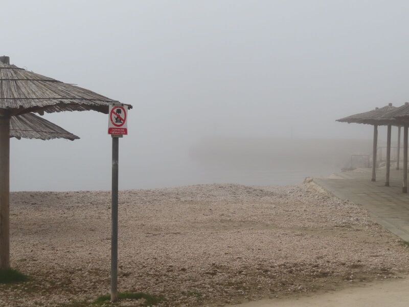 Datei:260227 7654.JPG