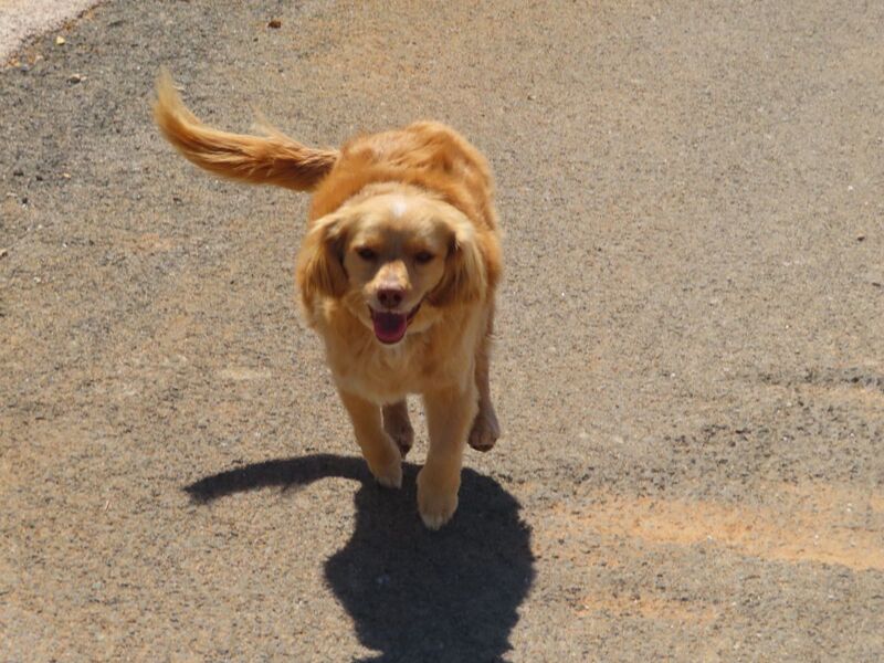 Datei:260411 8180.JPG