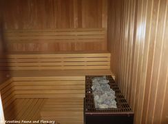 Die moderne Sauna ist fertig und wartet auf Gäste